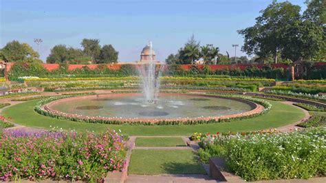  The Flower Garden: Where Mughal Majesty Meets Miniature Mysticism!